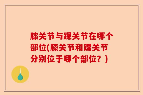 膝关节与踝关节在哪个部位(膝关节和踝关节分别位于哪个部位？)