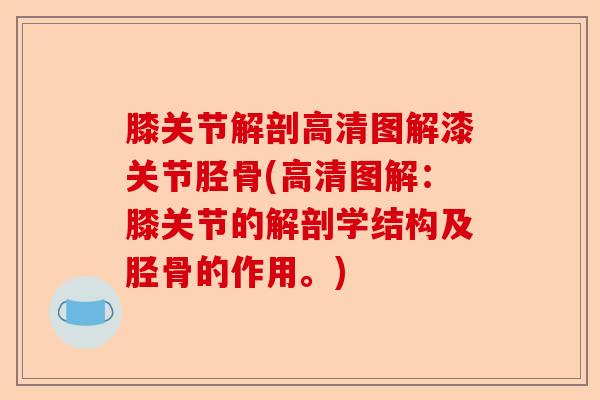 膝关节解剖高清图解漆关节胫骨(高清图解：膝关节的解剖学结构及胫骨的作用。)