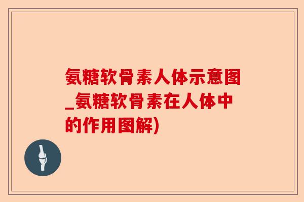氨糖软骨素人体示意图_氨糖软骨素在人体中的作用图解)