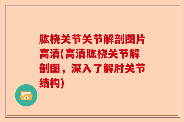 肱桡关节关节解剖图片高清(高清肱桡关节解剖图，深入了解肘关节结构)