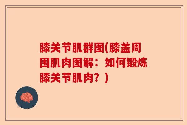 膝关节肌群图(膝盖周围肌肉图解：如何锻炼膝关节肌肉？)