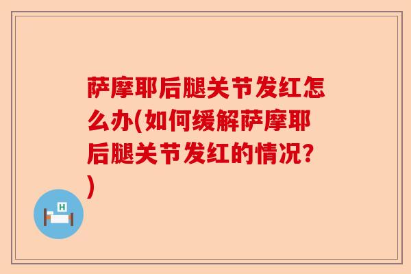 萨摩耶后腿关节发红怎么办(如何缓解萨摩耶后腿关节发红的情况？)