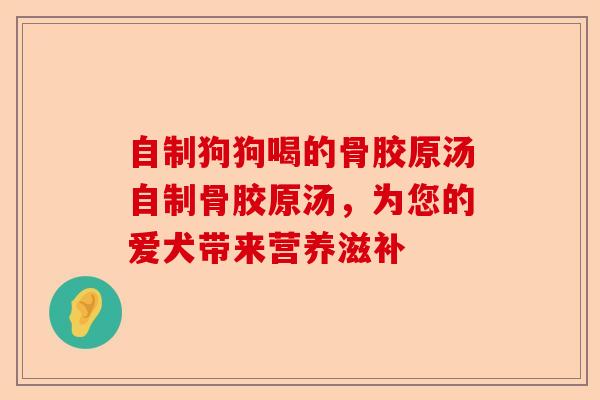 自制狗狗喝的骨胶原汤自制骨胶原汤，为您的爱犬带来营养滋补