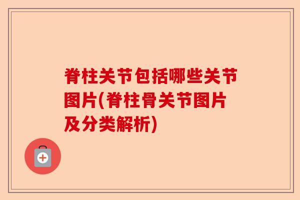 脊柱关节包括哪些关节图片(脊柱骨关节图片及分类解析) 脊柱关节包括哪些关节图片(脊柱骨关节图片及分类解析)