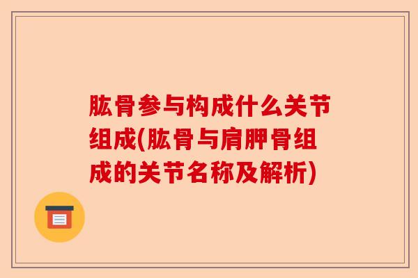 肱骨参与构成什么关节组成(肱骨与肩胛骨组成的关节名称及解析)