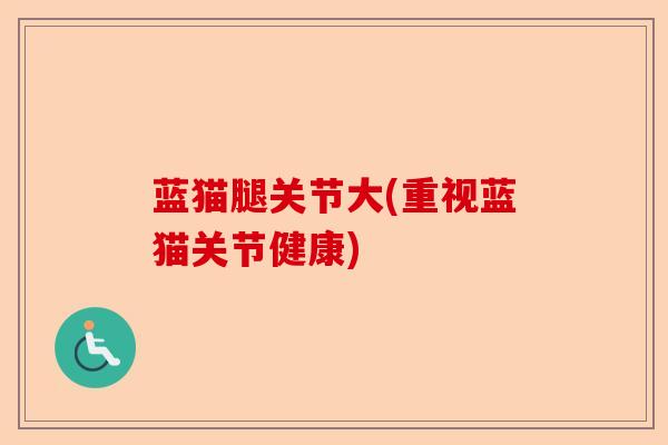 蓝猫腿关节大(重视蓝猫关节健康)