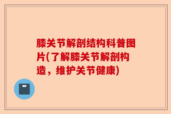 膝关节解剖结构科普图片(了解膝关节解剖构造，维护关节健康)