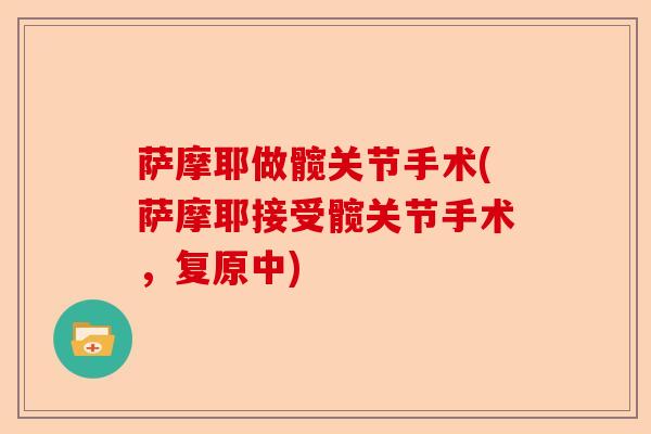 萨摩耶做髋关节手术(萨摩耶接受髋关节手术,复原中) 萨摩耶做髋关节手术(萨摩耶接受髋关节手术,复原中)