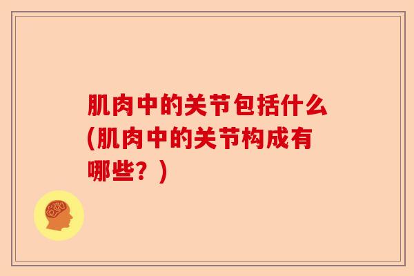 肌肉中的关节包括什么(肌肉中的关节构成有哪些？)