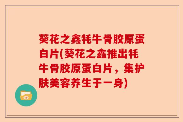 葵花之鑫牦牛骨胶原蛋白片(葵花之鑫推出牦牛骨胶原蛋白片，集护肤美容养生于一身)