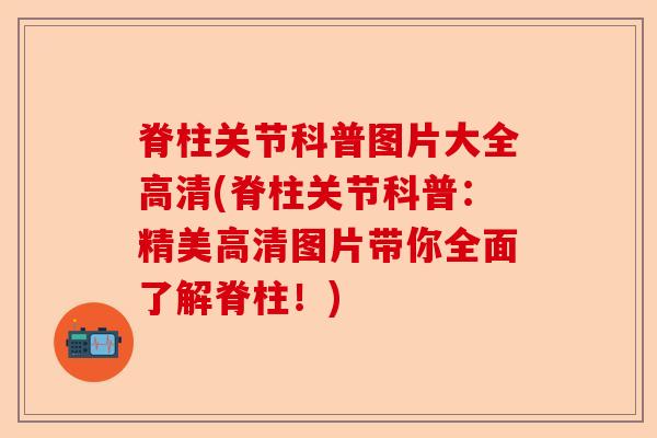 脊柱关节科普图片大全高清(脊柱关节科普：精美高清图片带你全面了解脊柱！)