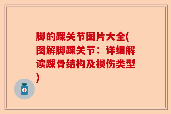 脚的踝关节图片大全(图解脚踝关节：详细解读踝骨结构及损伤类型)