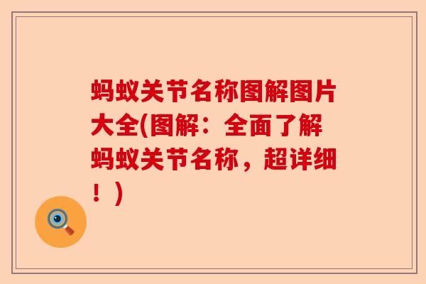 蚂蚁关节名称图解图片大全(图解:全面了解蚂蚁关节名称,超详细!) 蚂蚁关节名称图解图片大全(图解:全面了解蚂蚁关节名称,超详细!)