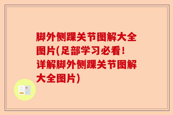 脚外侧踝关节图解大全图片(足部学习必看！详解脚外侧踝关节图解大全图片)