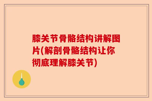 膝关节骨骼结构讲解图片(解剖骨骼结构让你彻底理解膝关节)