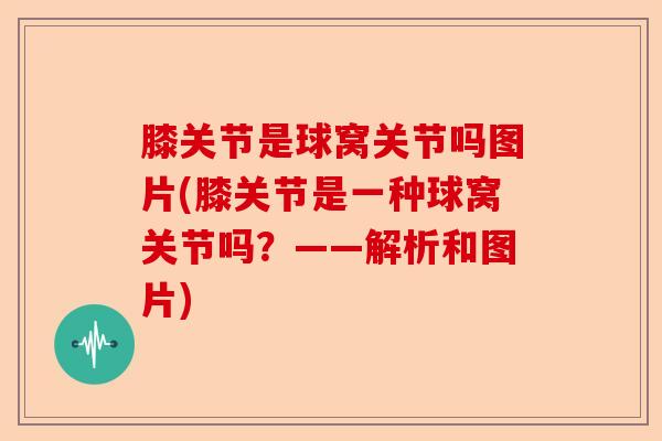 膝关节是球窝关节吗图片(膝关节是一种球窝关节吗？——解析和图片)