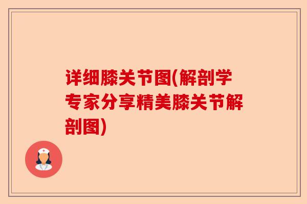 详细膝关节图(解剖学专家分享精美膝关节解剖图)