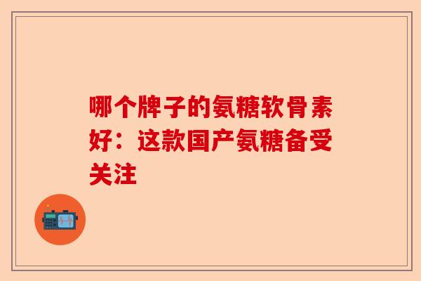 哪个牌子的氨糖软骨素好：这款国产氨糖备受关注