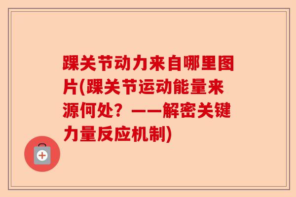 踝关节动力来自哪里图片(踝关节运动能量来源何处？——解密关键力量反应机制)