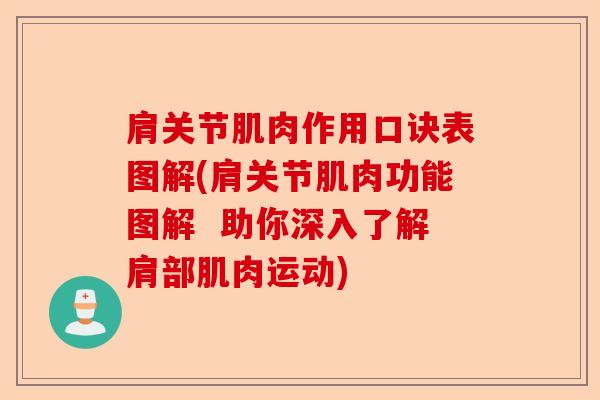 肩关节肌肉作用口诀表图解(肩关节肌肉功能图解  助你深入了解肩部肌肉运动)