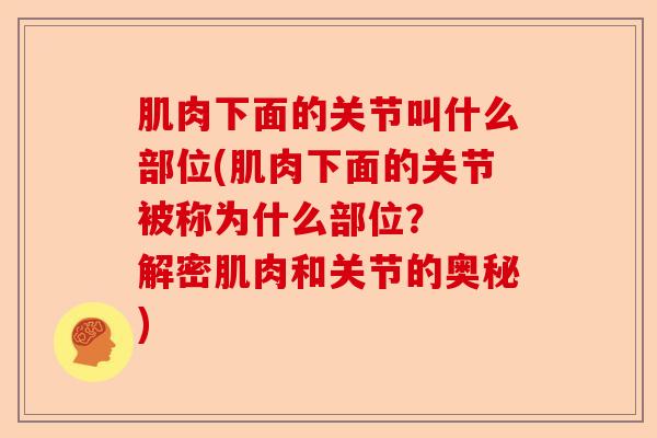 肌肉下面的关节叫什么部位(肌肉下面的关节被称为什么部位？  解密肌肉和关节的奥秘)