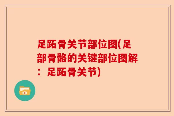足跖骨关节部位图(足部骨骼的关键部位图解：足跖骨关节)