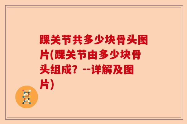 踝关节共多少块骨头图片(踝关节由多少块骨头组成？--详解及图片)