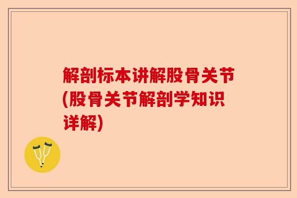 解剖标本讲解股骨关节(股骨关节解剖学知识详解)