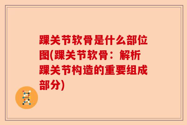 踝关节软骨是什么部位图(踝关节软骨:解析踝关节构造的重要组成部分) 踝关节软骨是什么部位图(踝关节软骨:解析踝关节构造的重要组成部分)