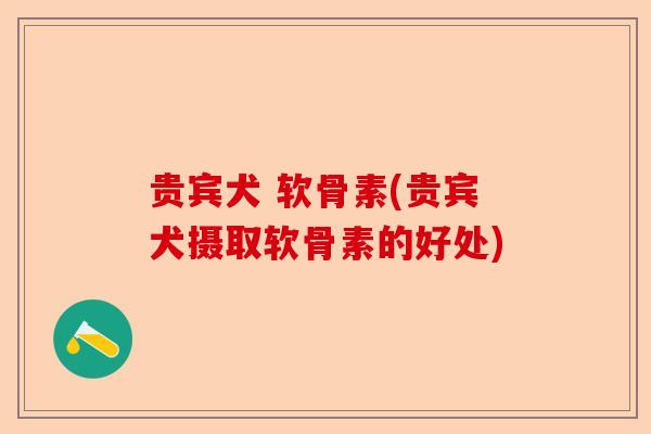 贵宾犬 软骨素(贵宾犬摄取软骨素的好处)