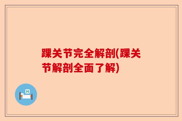 踝关节完全解剖(踝关节解剖全面了解)