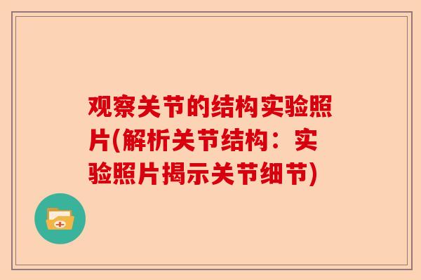 观察关节的结构实验照片(解析关节结构：实验照片揭示关节细节)