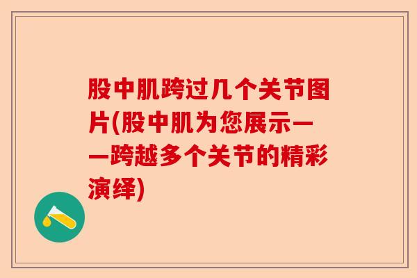 股中肌跨过几个关节图片(股中肌为您展示——跨越多个关节的精彩演绎)
