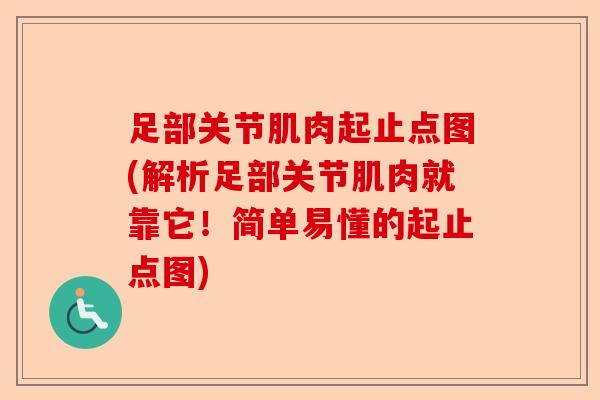 足部关节肌肉起止点图(解析足部关节肌肉就靠它!简单易懂的起止点图) 足部关节肌肉起止点图(解析足部关节肌肉就靠它!简单易懂的起止点图)