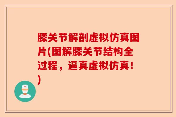 膝关节解剖虚拟仿真图片(图解膝关节结构全过程，逼真虚拟仿真！)