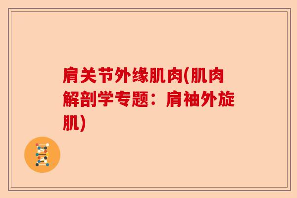 肩关节外缘肌肉(肌肉解剖学专题：肩袖外旋肌)