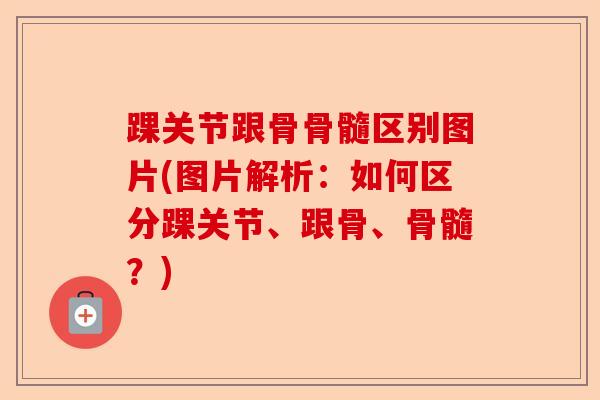 踝关节跟骨骨髓区别图片(图片解析：如何区分踝关节、跟骨、骨髓？)