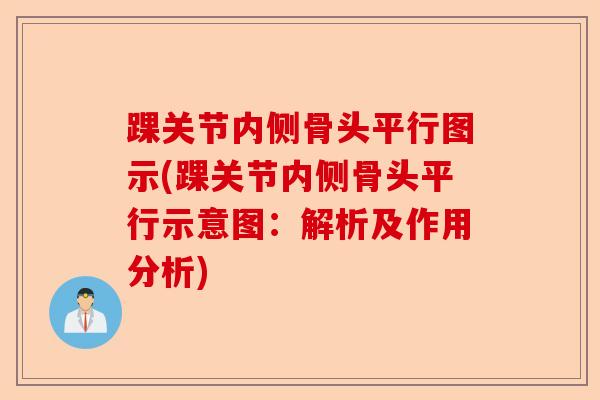 踝关节内侧骨头平行图示(踝关节内侧骨头平行示意图：解析及作用分析)