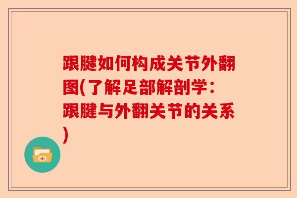 跟腱如何构成关节外翻图(了解足部解剖学：跟腱与外翻关节的关系)