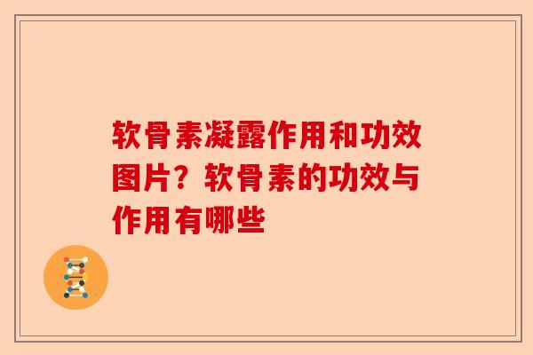 软骨素凝露作用和功效图片？软骨素的功效与作用有哪些