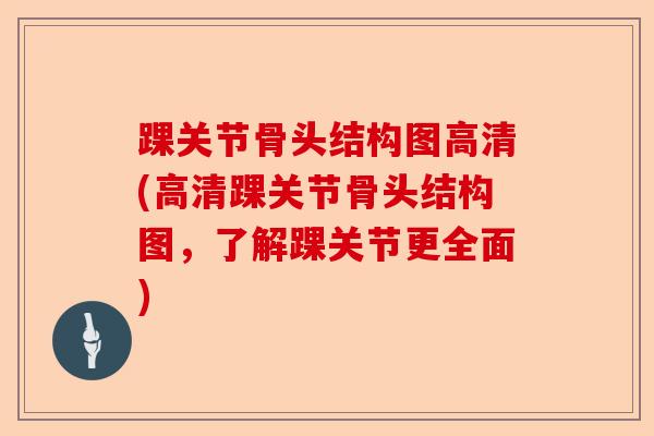 踝关节骨头结构图高清(高清踝关节骨头结构图，了解踝关节更全面)
