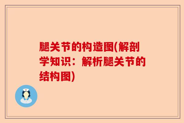 腿关节的构造图(解剖学知识：解析腿关节的结构图)