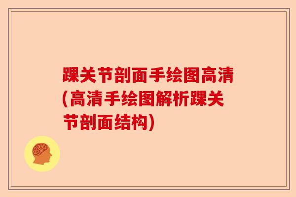 踝关节剖面手绘图高清(高清手绘图解析踝关节剖面结构)
