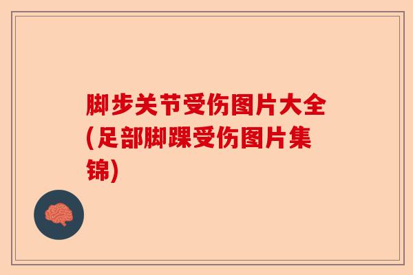 脚步关节受伤图片大全(足部脚踝受伤图片集锦)