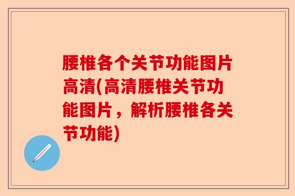 腰椎各个关节功能图片高清(高清腰椎关节功能图片,解析腰椎各关节功能) 腰椎各个关节功能图片高清(高清腰椎关节功能图片,解析腰椎各关节功能)