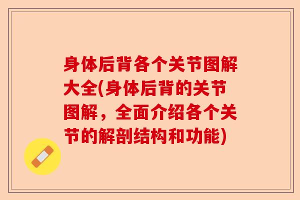 身体后背各个关节图解大全(身体后背的关节图解,全面介绍各个关节的解剖结构和功能) 身体后背各个关节图解大全(身体后背的关节图解,全面介绍各个关节的解剖结构和功能)