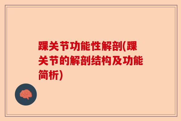 踝关节功能性解剖(踝关节的解剖结构及功能简析) 踝关节功能性解剖(踝关节的解剖结构及功能简析)