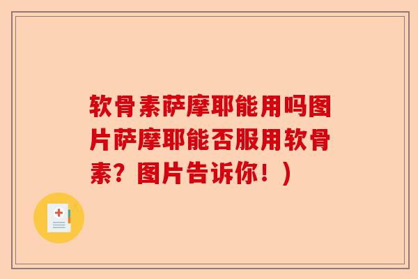 软骨素萨摩耶能用吗图片萨摩耶能否服用软骨素？图片告诉你！)