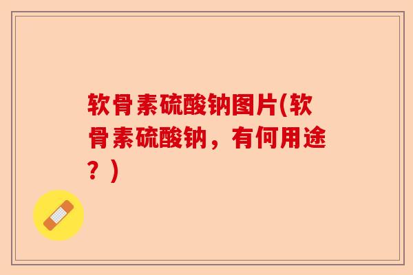 软骨素硫酸钠图片(软骨素硫酸钠，有何用途？)
