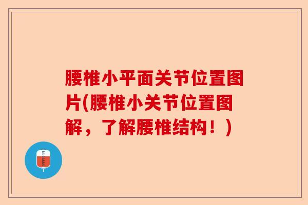 腰椎小平面关节位置图片(腰椎小关节位置图解，了解腰椎结构！)